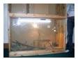 bearded dragon with vivarium. complete setup with....