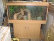 Tortoise and Vivarium With Cabinet