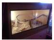 2ft oak viv. this is my 2ft viv i have up 4 sale i was....