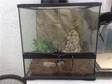 Exo Terra Vivarium and Heatmat for Sale