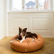 Premium Dog Beds – Comfort & Luxury for Your Pet