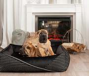 Luxury Dog Beds