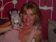 Good looking baby capuccino monkeys for sale now please conatc us for 